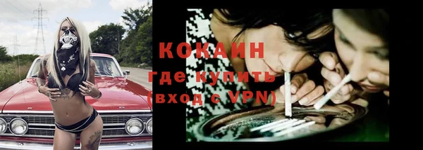 шишки Заволжье