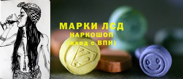 шишки Заволжье