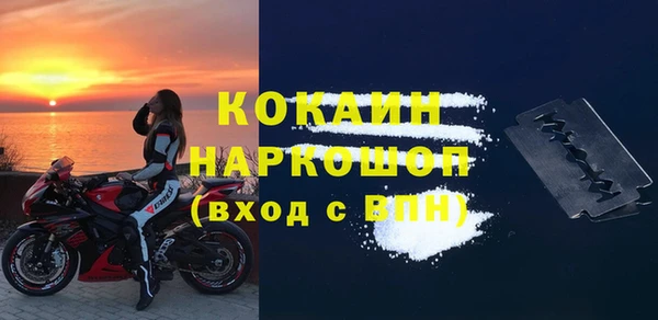 шишки Заволжье