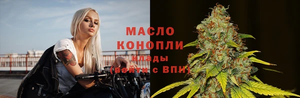 шишки Заволжье