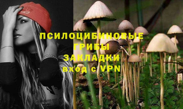 шишки Заволжье