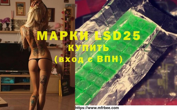 шишки Заволжье