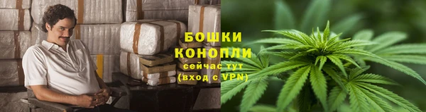 стафф Заводоуковск