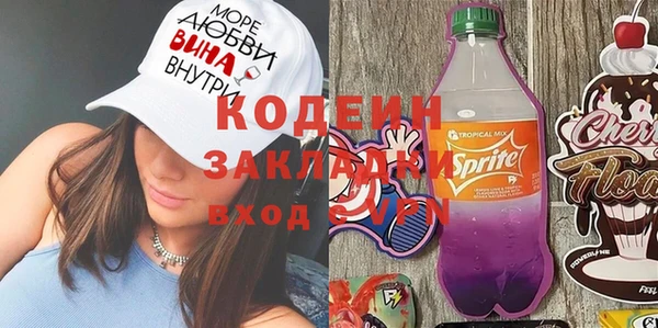 шишки Заволжье