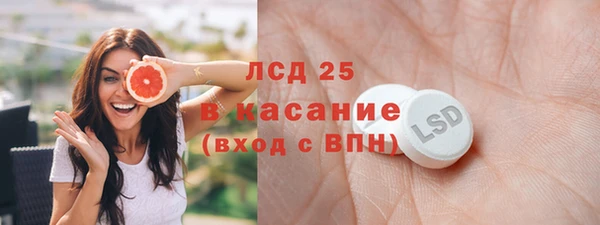 шишки Заволжье
