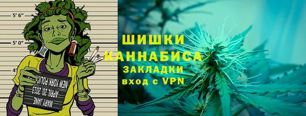 шишки Заволжье