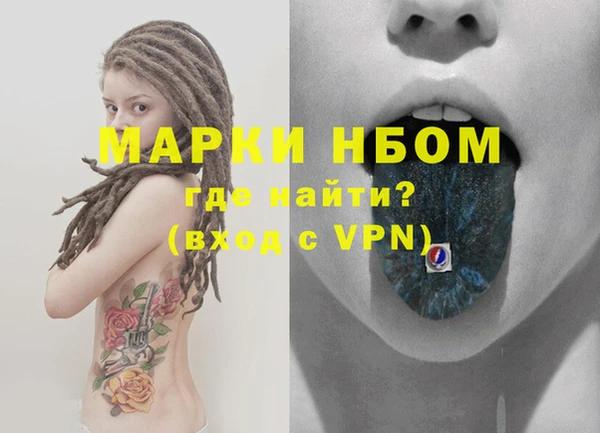 стафф Заводоуковск