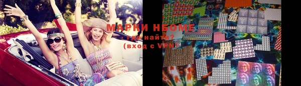 шишки Заволжье