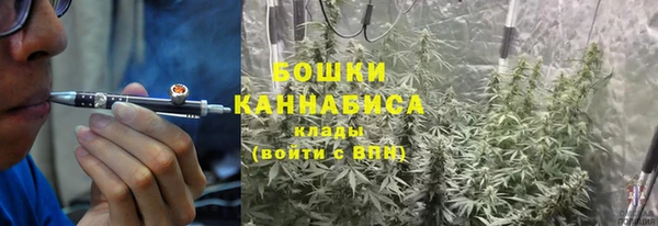 шишки Заволжье