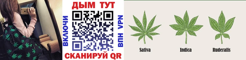 Купить закладки  Пионерский  Бошки марихуана гибрид 